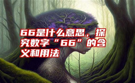 66意思|数字66的含义 数字66的吉凶